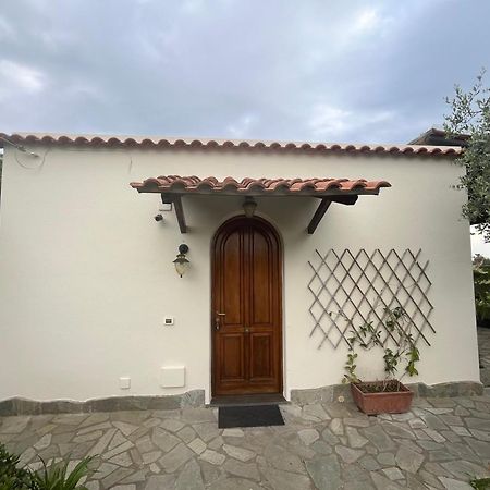 Villa Symphony Sea View Forio  Екстер'єр фото