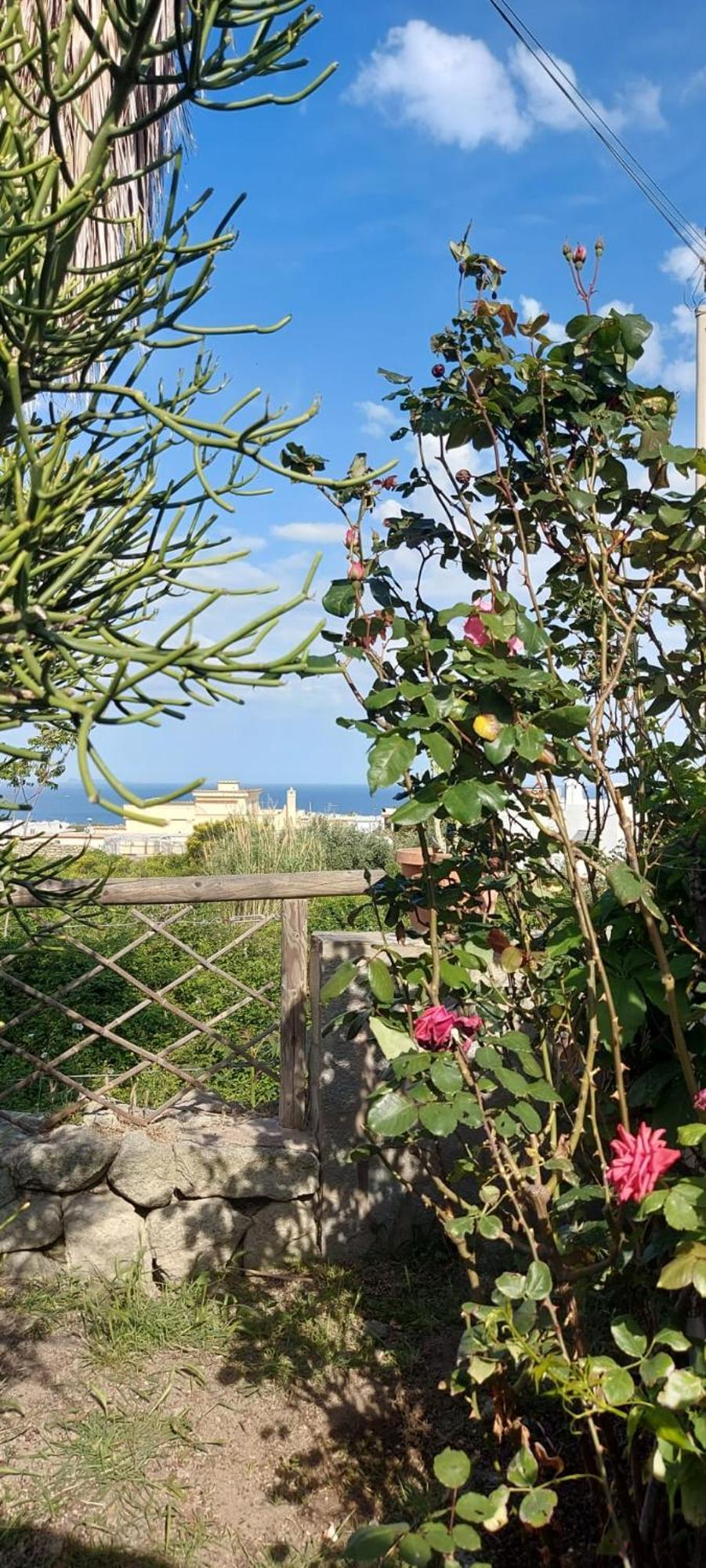 Villa Symphony Sea View Forio  Екстер'єр фото