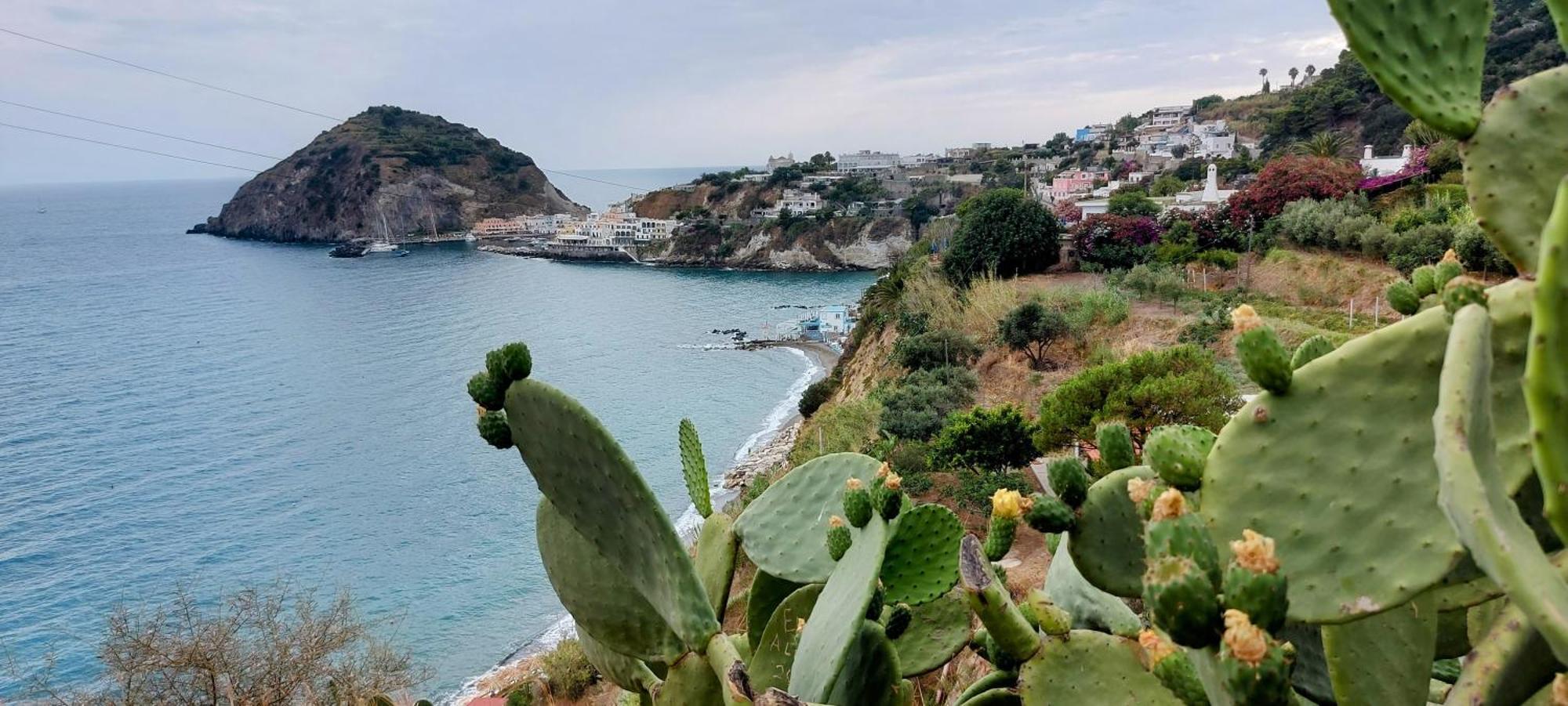 Villa Symphony Sea View Forio  Екстер'єр фото
